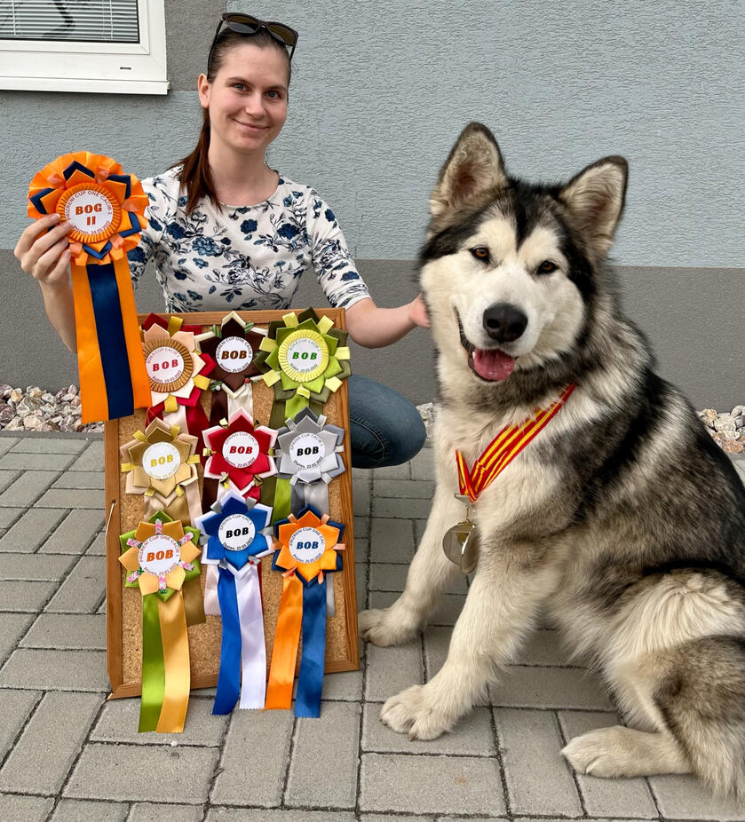 Aurora with her BOB (Best of Breed) trophies and her proud owner, celebrating her champion status.