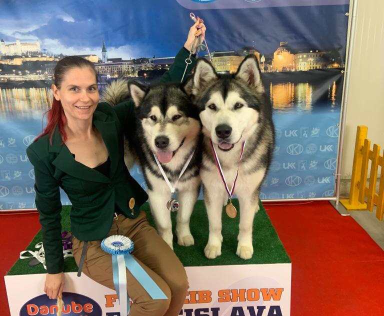 Beowulf and Aurora with their owner, proudly displaying their champion trophies and awards.