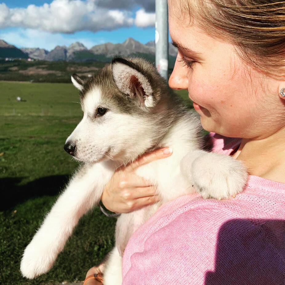 Aurora as a puppy, held lovingly in her owner's arms, showcasing her beauty.