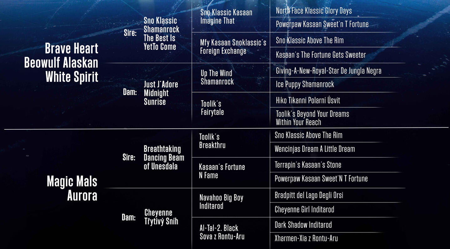 Bloodline Pedigree chart of award-winning Alaskan Malamute lineage with details of champion ancestors